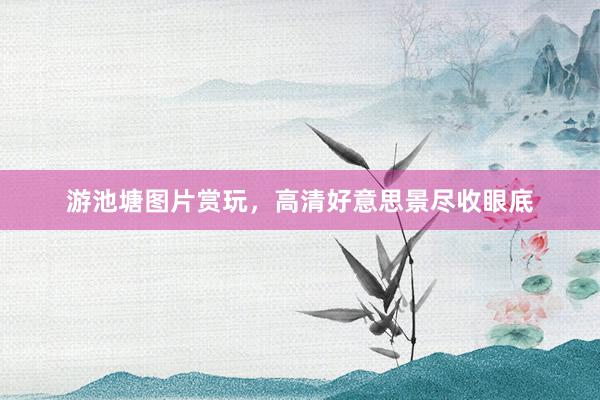 游池塘图片赏玩，高清好意思景尽收眼底