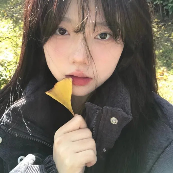 科搜研之女2022